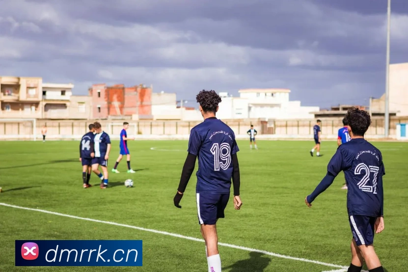 开云官网平台生态图